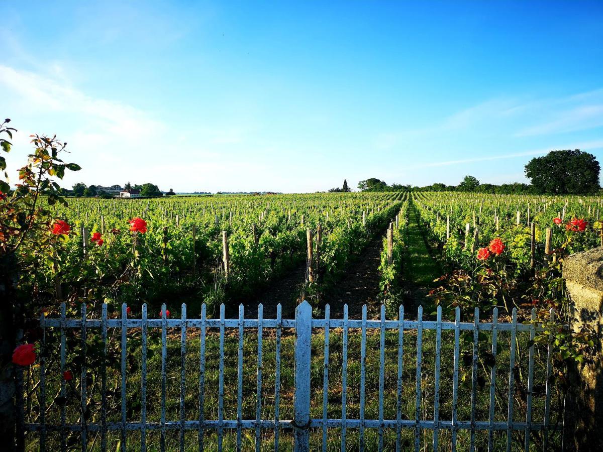 Appartamento La Maison Des Vignes Saint Emilion Esterno foto